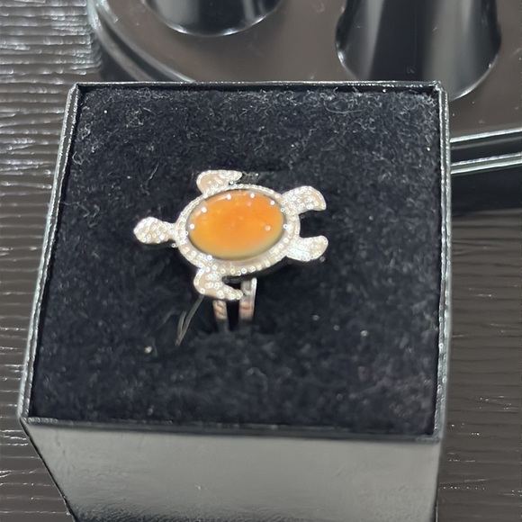 Charm Personalized Turtle Temperature Sensing Color Changing Pendant Rings For - Picture 5 of 10